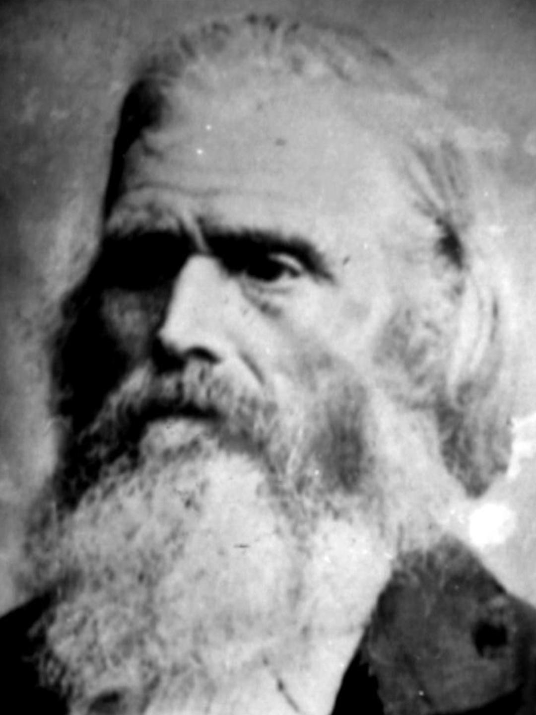 Levi Hunt (1833 - 1921) Profile